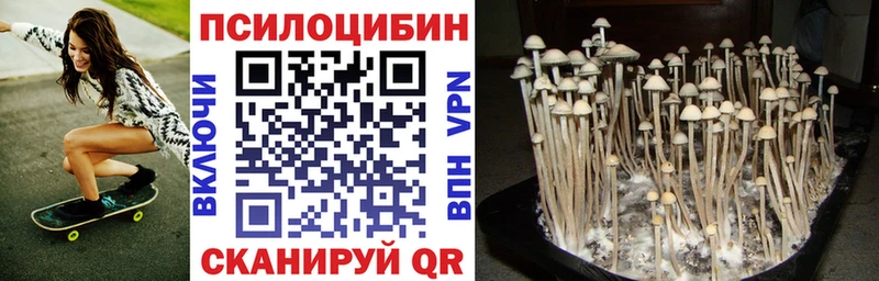 Галлюциногенные грибы ЛСД  продажа наркотиков  Тайга 