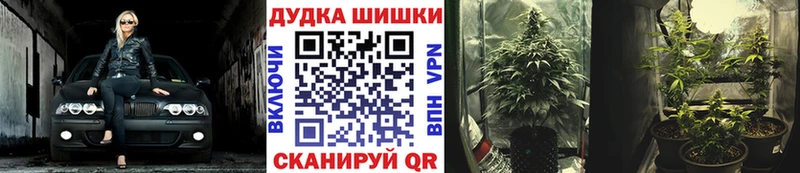 Конопля план  нарко площадка как зайти  Тайга  купить закладку 